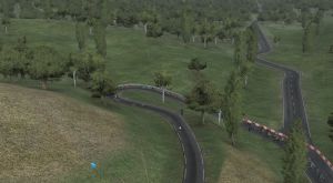 Miniature
